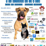 III FERIA POR LA SENSIBILIDAD ANIMAL