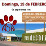 VERDECORA DE ARROYO CULEBRO M50